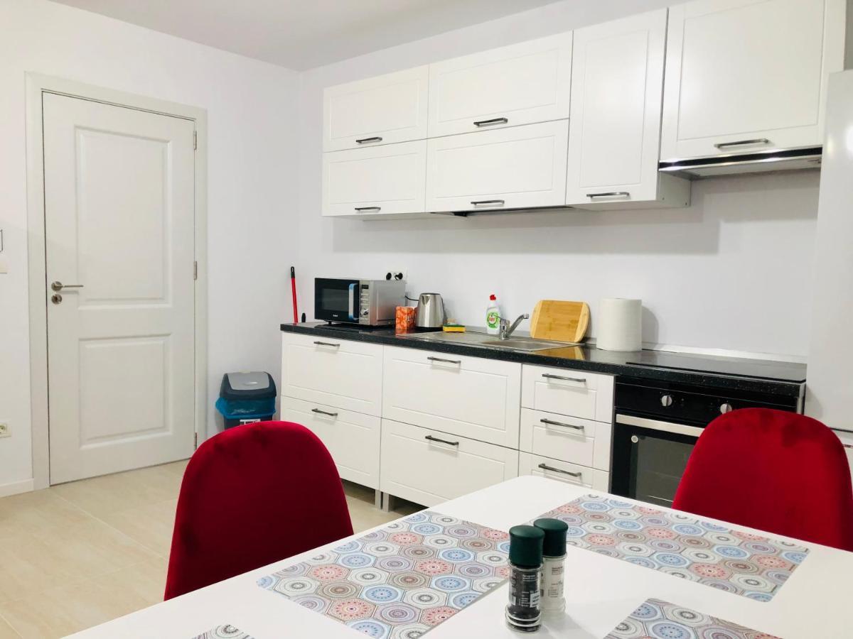 New And Modern Apartments In Villa, Near City Center M36 Τιμισοάρα Εξωτερικό φωτογραφία