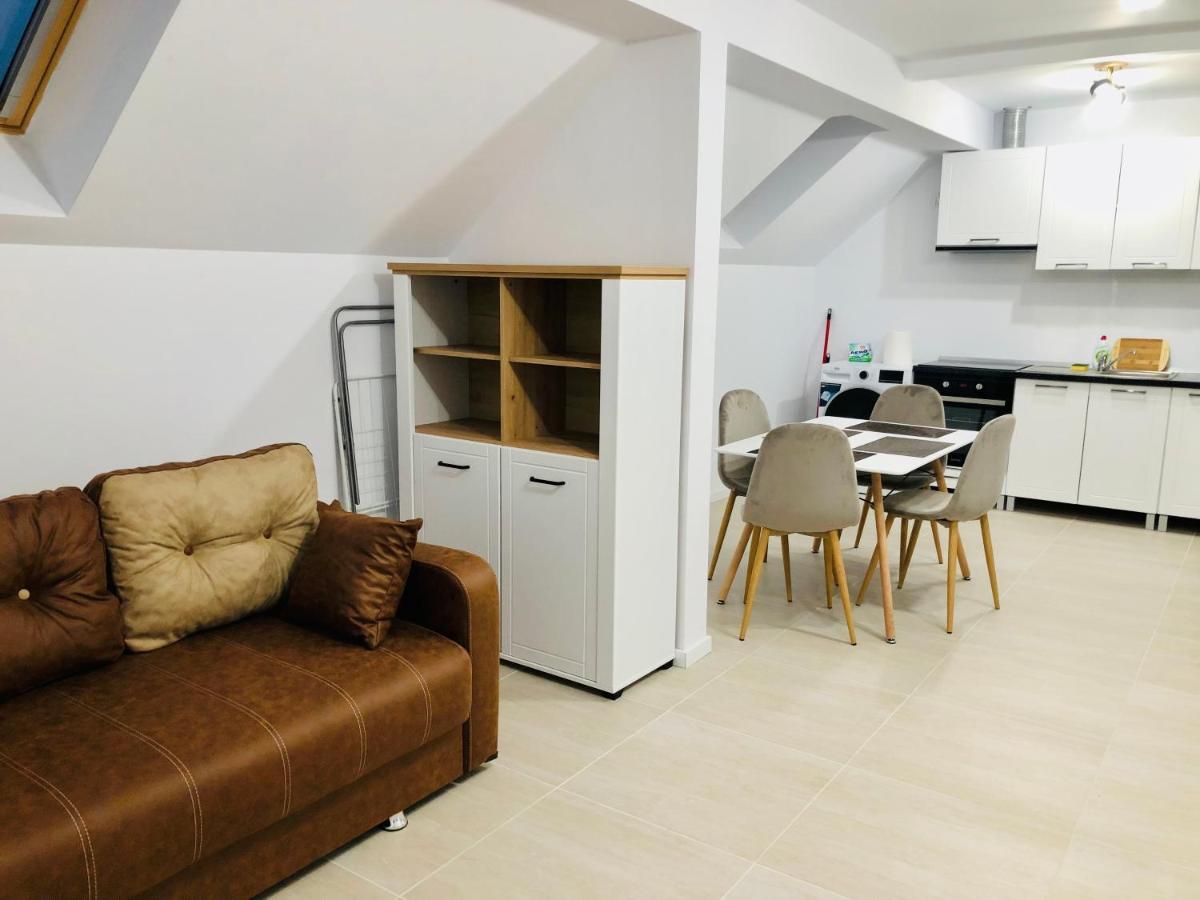 New And Modern Apartments In Villa, Near City Center M36 Τιμισοάρα Εξωτερικό φωτογραφία