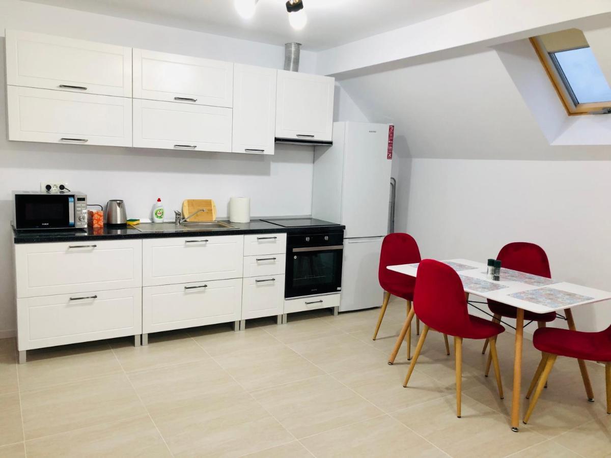 New And Modern Apartments In Villa, Near City Center M36 Τιμισοάρα Εξωτερικό φωτογραφία