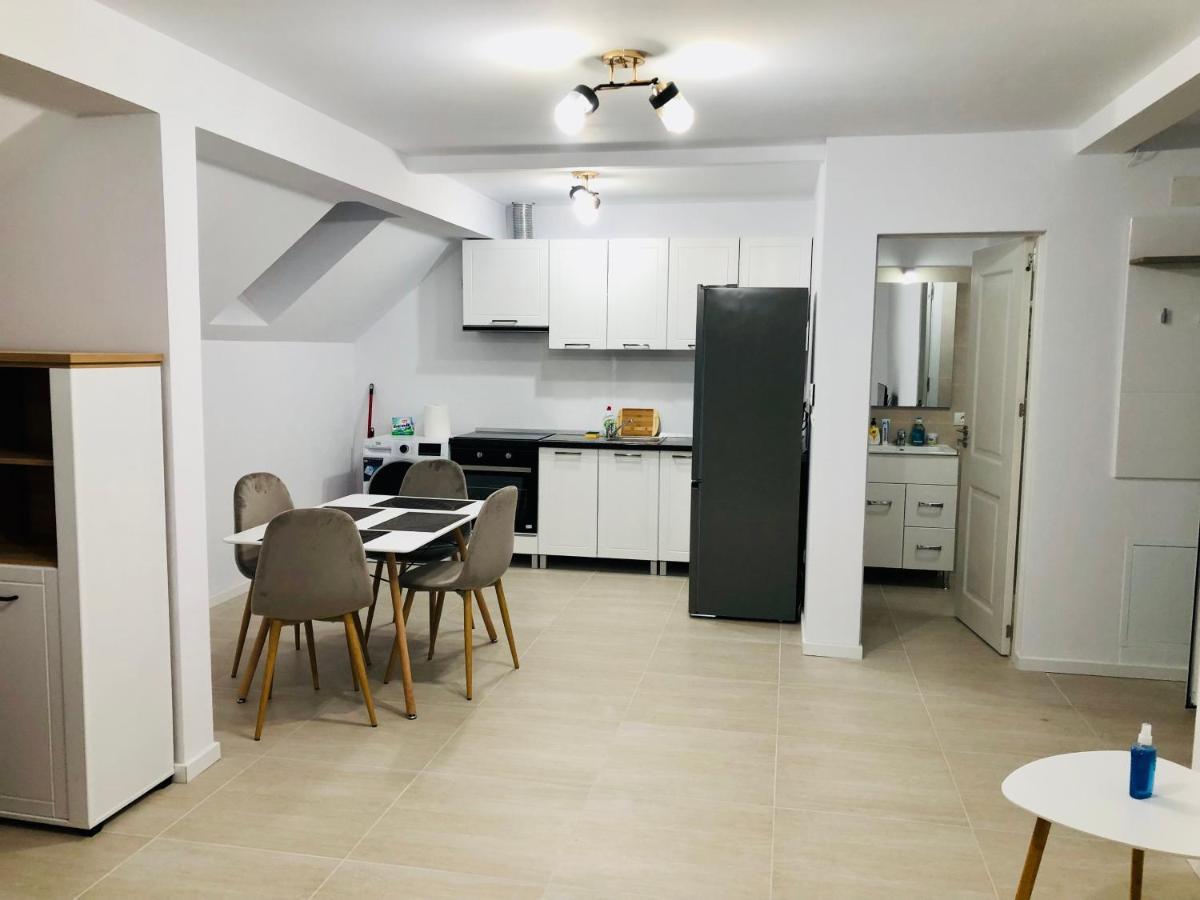 New And Modern Apartments In Villa, Near City Center M36 Τιμισοάρα Εξωτερικό φωτογραφία