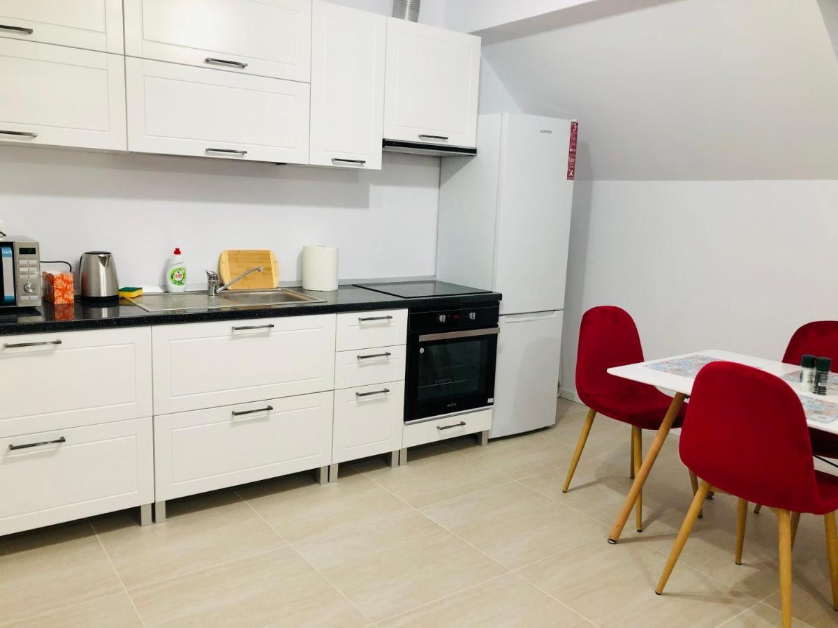 New And Modern Apartments In Villa, Near City Center M36 Τιμισοάρα Εξωτερικό φωτογραφία