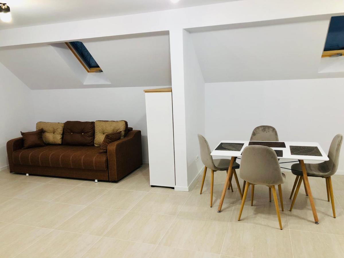New And Modern Apartments In Villa, Near City Center M36 Τιμισοάρα Εξωτερικό φωτογραφία