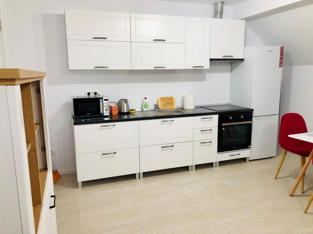 New And Modern Apartments In Villa, Near City Center M36 Τιμισοάρα Εξωτερικό φωτογραφία