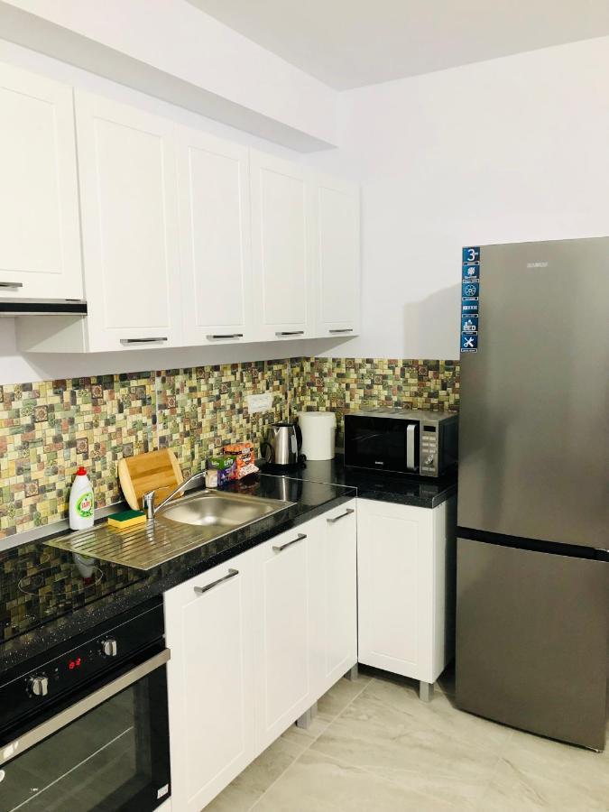 New And Modern Apartments In Villa, Near City Center M36 Τιμισοάρα Εξωτερικό φωτογραφία