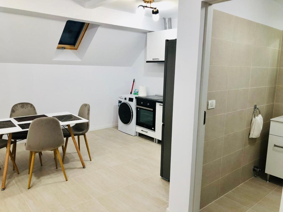New And Modern Apartments In Villa, Near City Center M36 Τιμισοάρα Εξωτερικό φωτογραφία