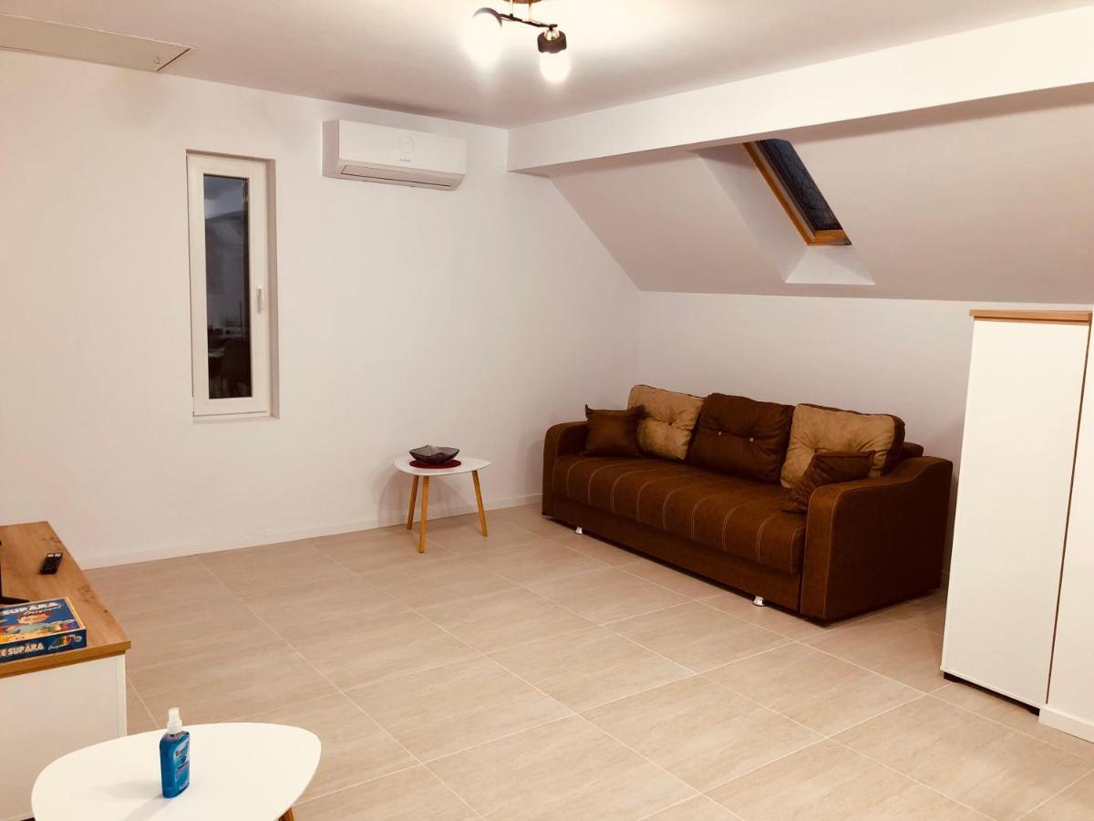 New And Modern Apartments In Villa, Near City Center M36 Τιμισοάρα Εξωτερικό φωτογραφία